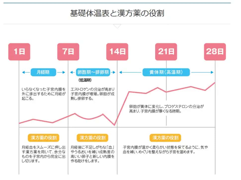 基礎体温表と漢方薬の役割