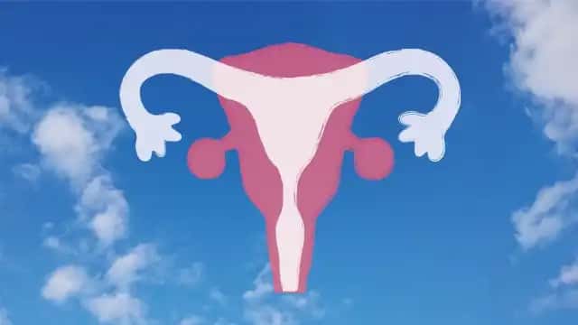 子宮内膜の血流を改善し、肉厚をふかふかにする