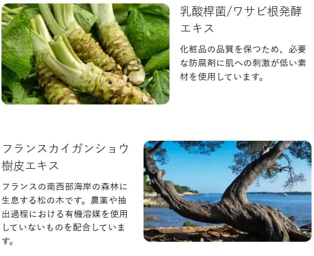 天然由来の防腐処方